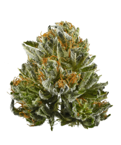 Bubba Kush