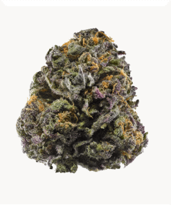 Grand daddy purp