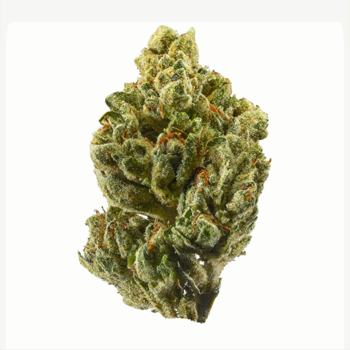 OG Kush