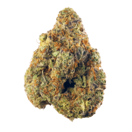 Hindu kush