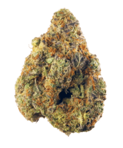 Afghani