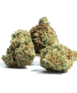 Amnesia haze