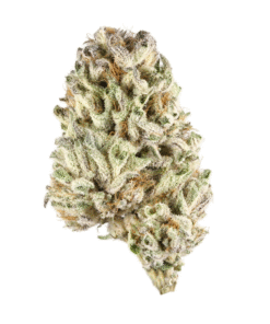 White Widow
