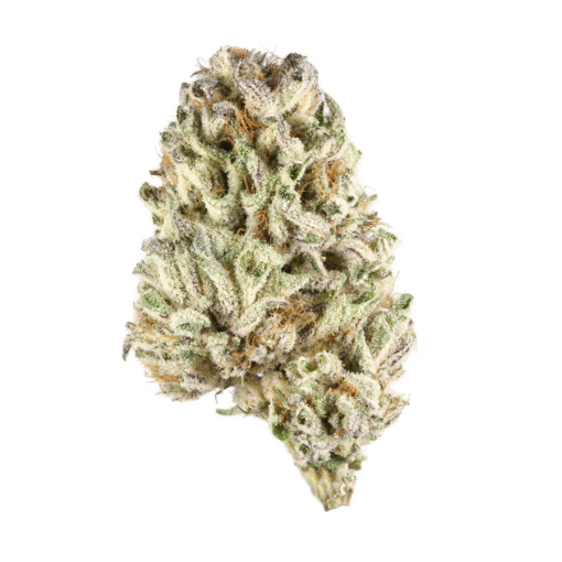 White Widow