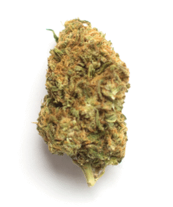 Skunk Dawg