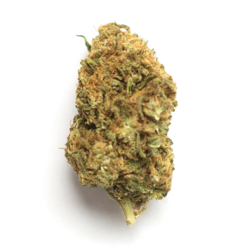 Skunk Dawg